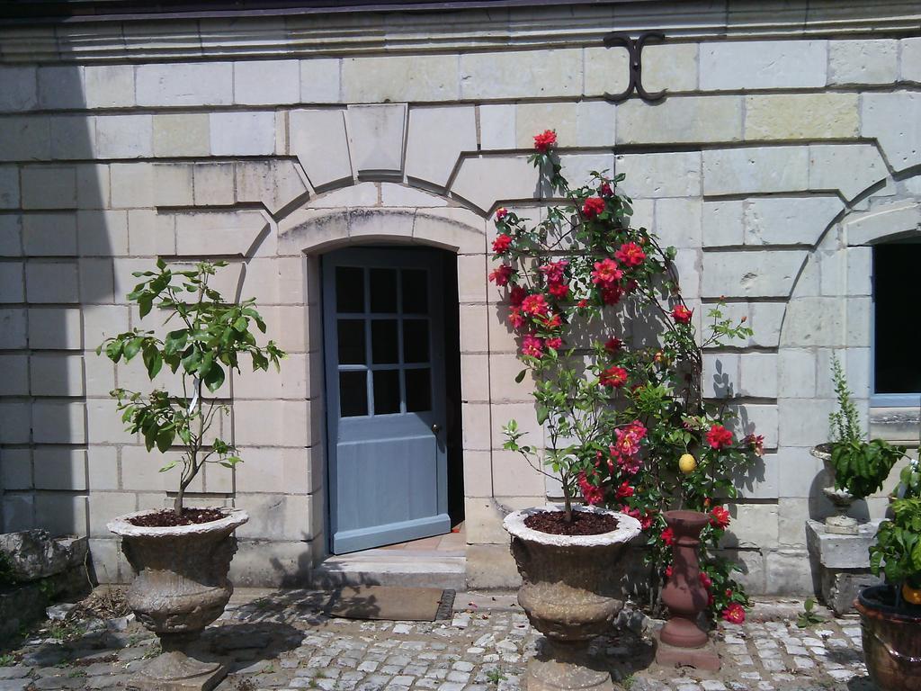 Les Douves Bed and Breakfast Onzain Exterior foto
